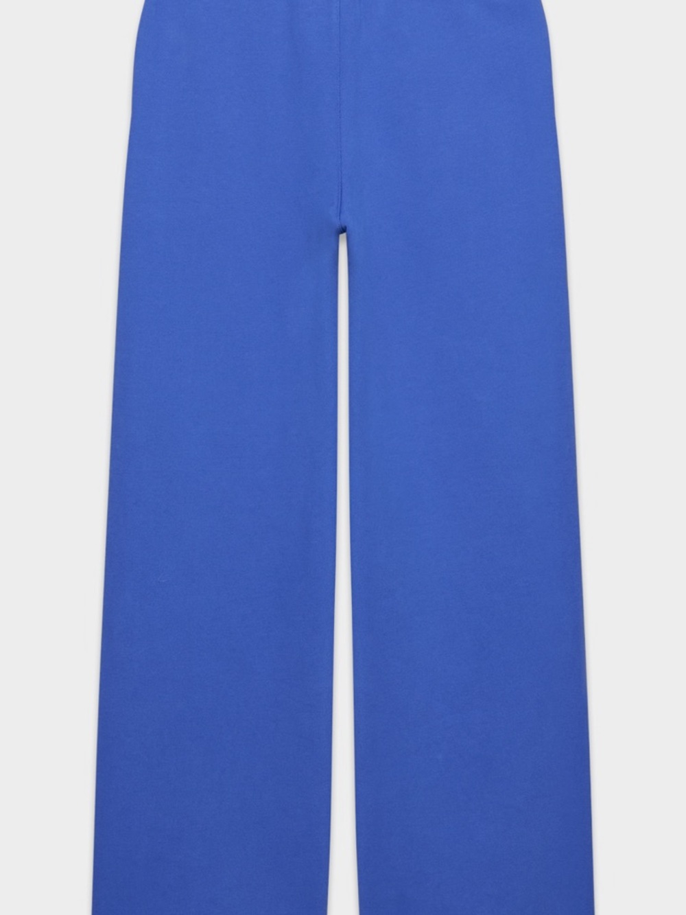 Aritzia Electric Blue Wide-Leg Track Pants